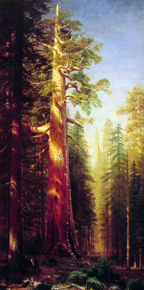 Albert Bierstadt The Great Trees Mariposa Grove California